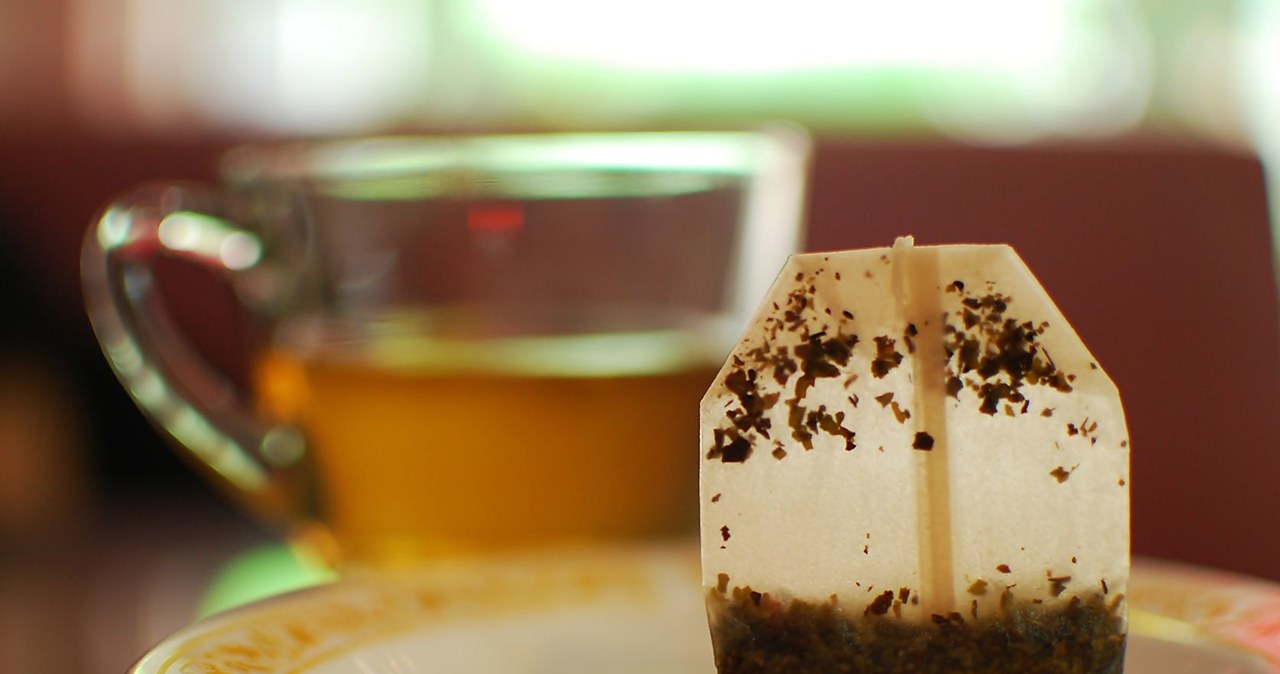 A tea bag can effectively nourish the Spathiphyllum