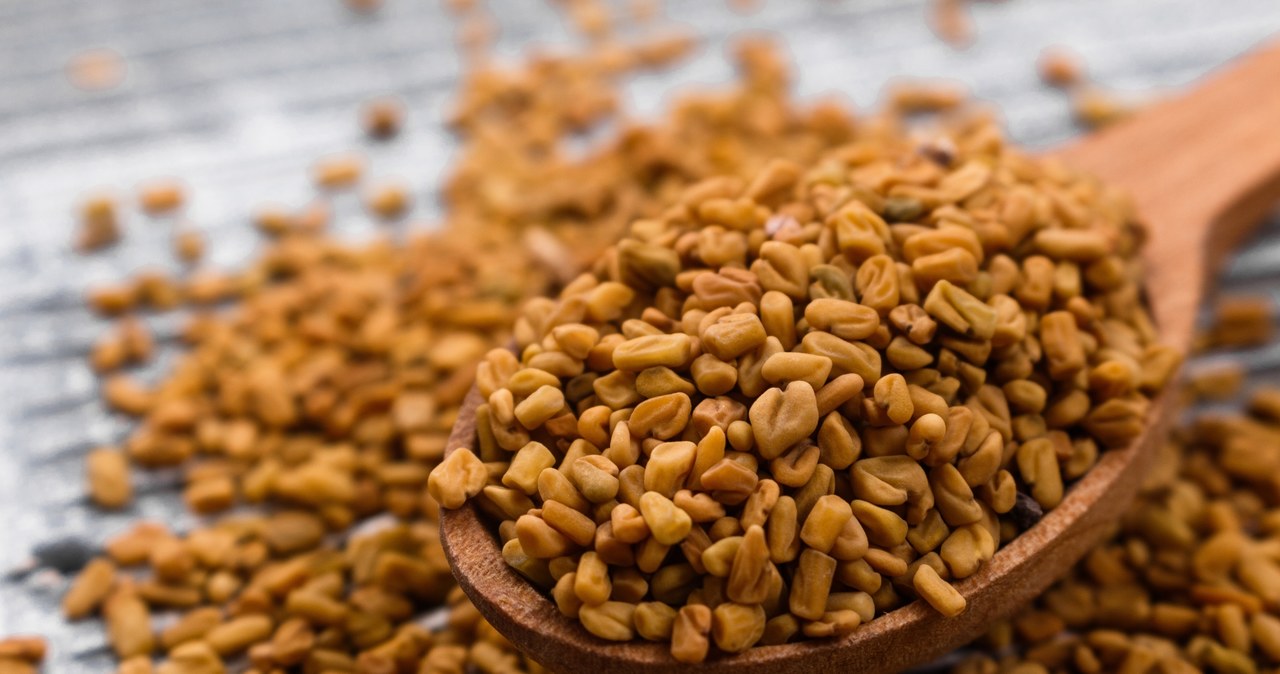 The most valuable part of fenugreek are the seeds. What action is attributed to them?