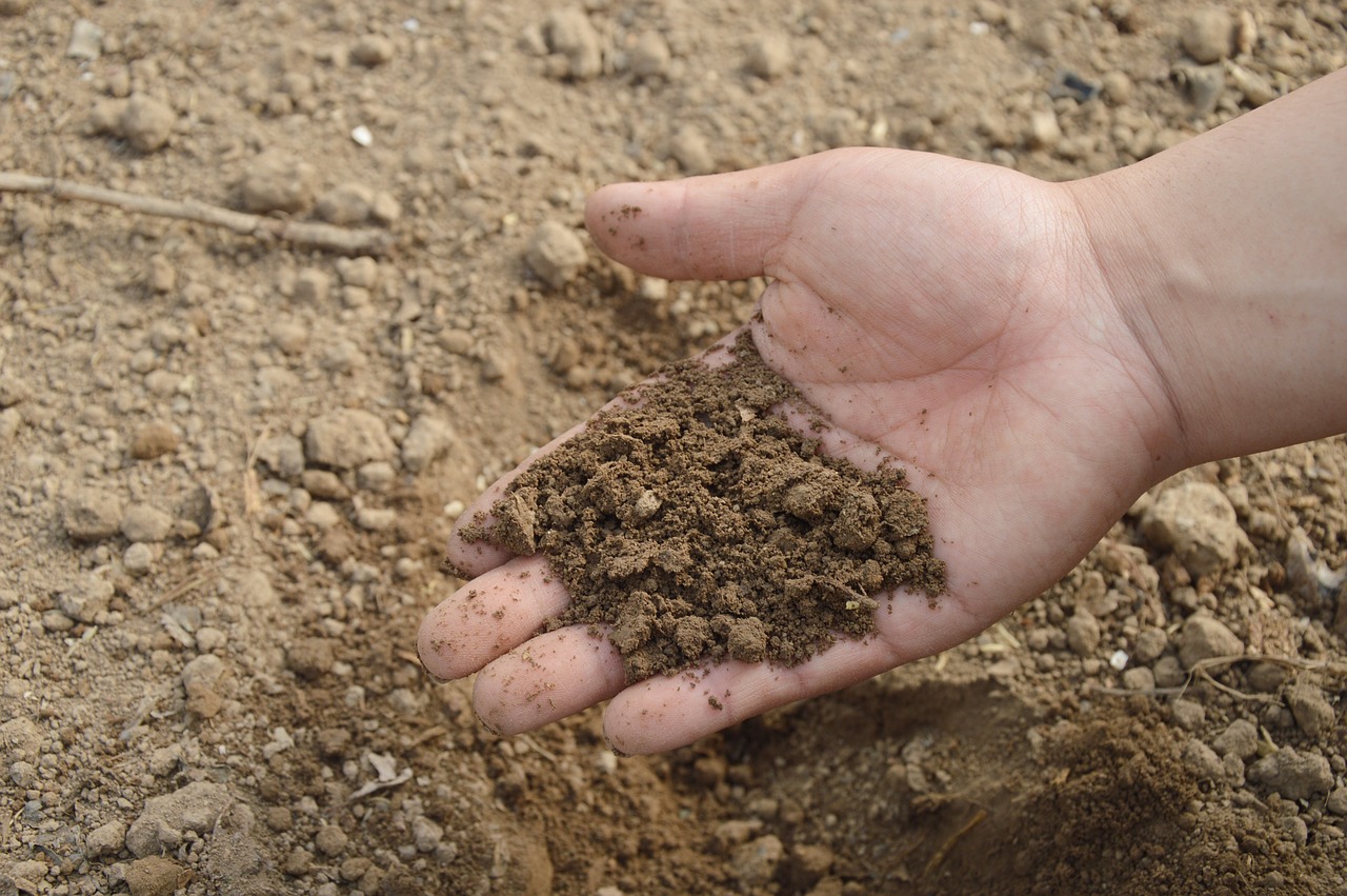 Baking Soda Is A Gardener's Best Friend: 10 Great Ways To Use It In The Garden!