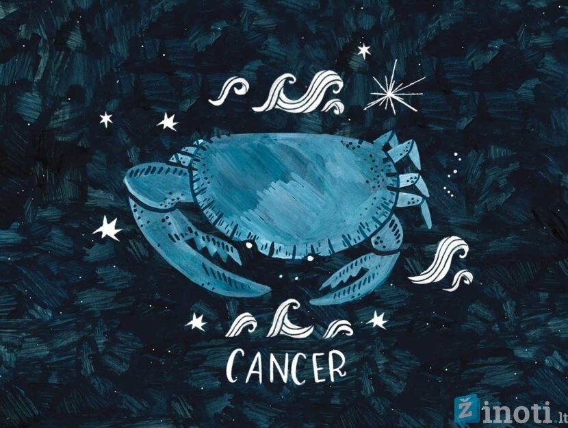 rewarded, the most boring, December, Zodiac 