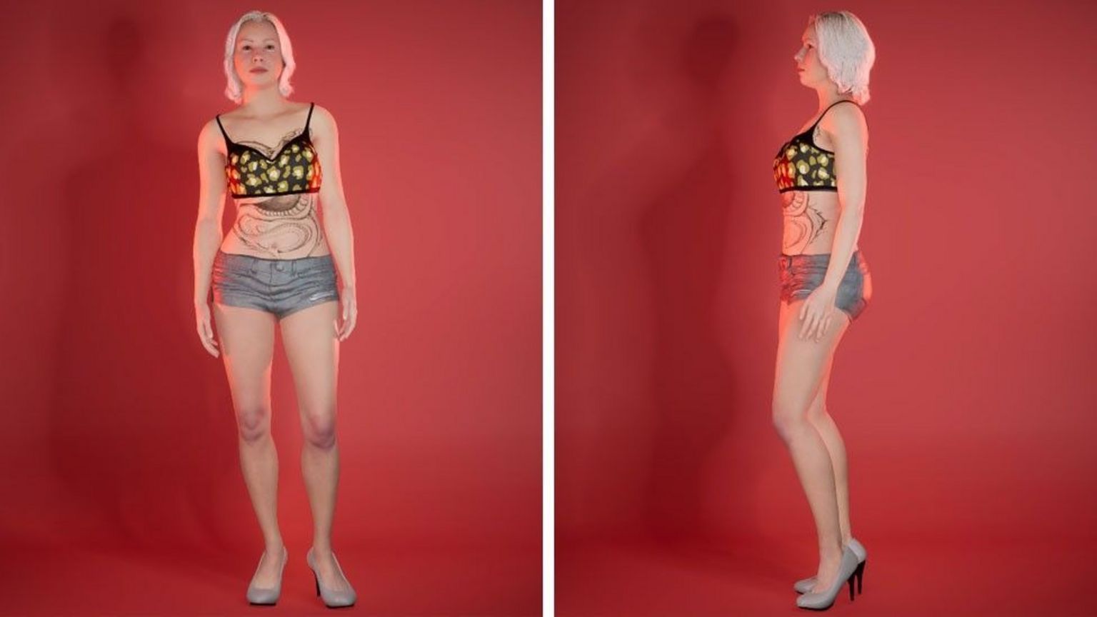 Dutch police use hologram to try to solve prostitute's murder in 2009