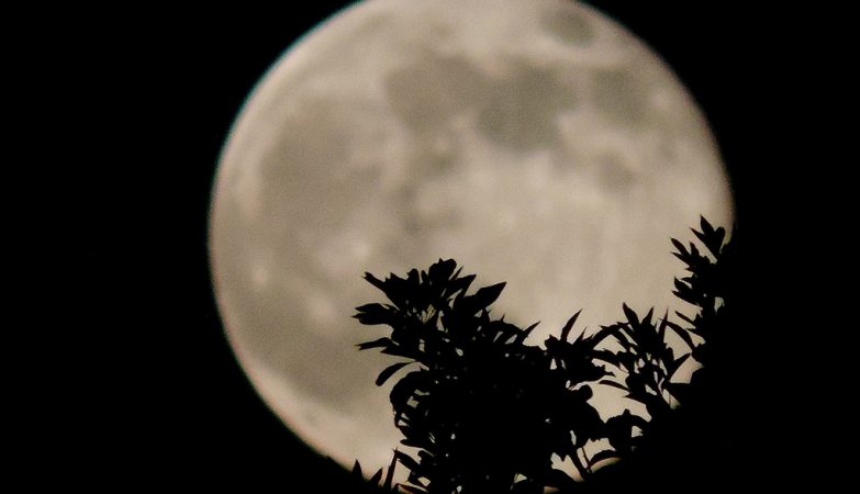 The last Super Moon of the year is today. If you lose it, you have to wait until October 2025