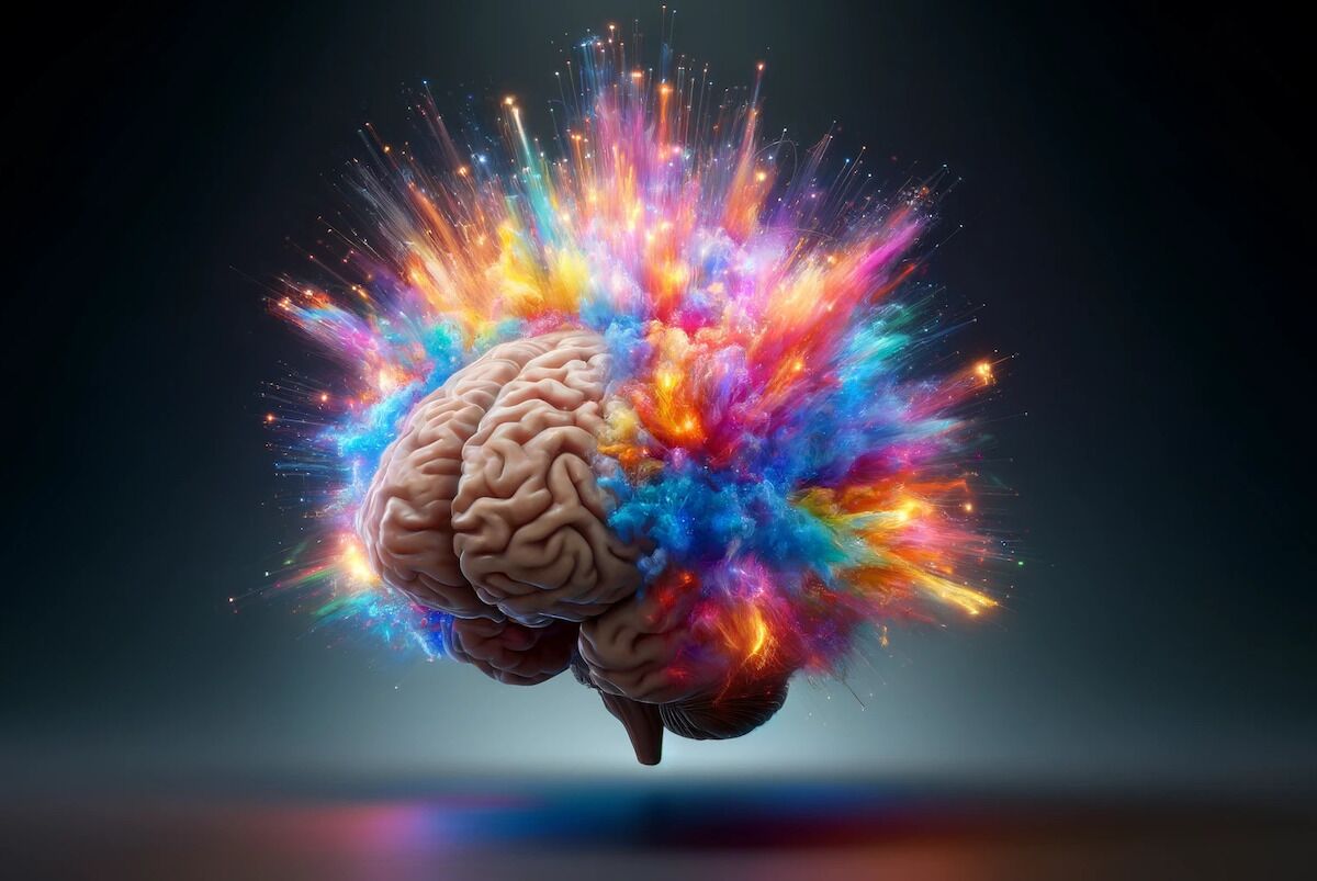 They are little “brain stars” that store our memories