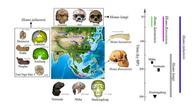 Hominid with giant skull and teeth discovered in China could be new human species