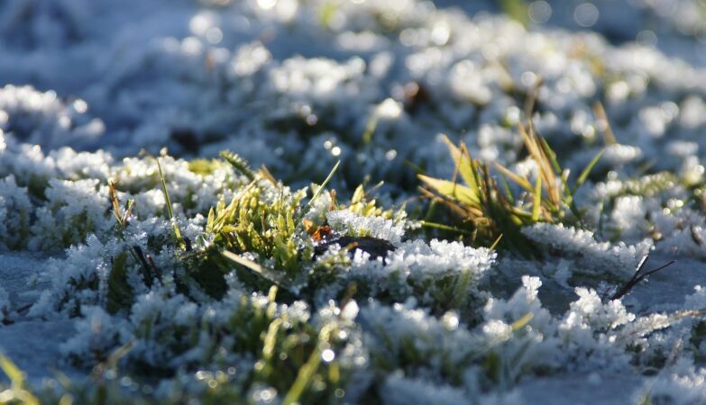 Goodbye, frost. Scientists reveal long-lasting antifreeze technology