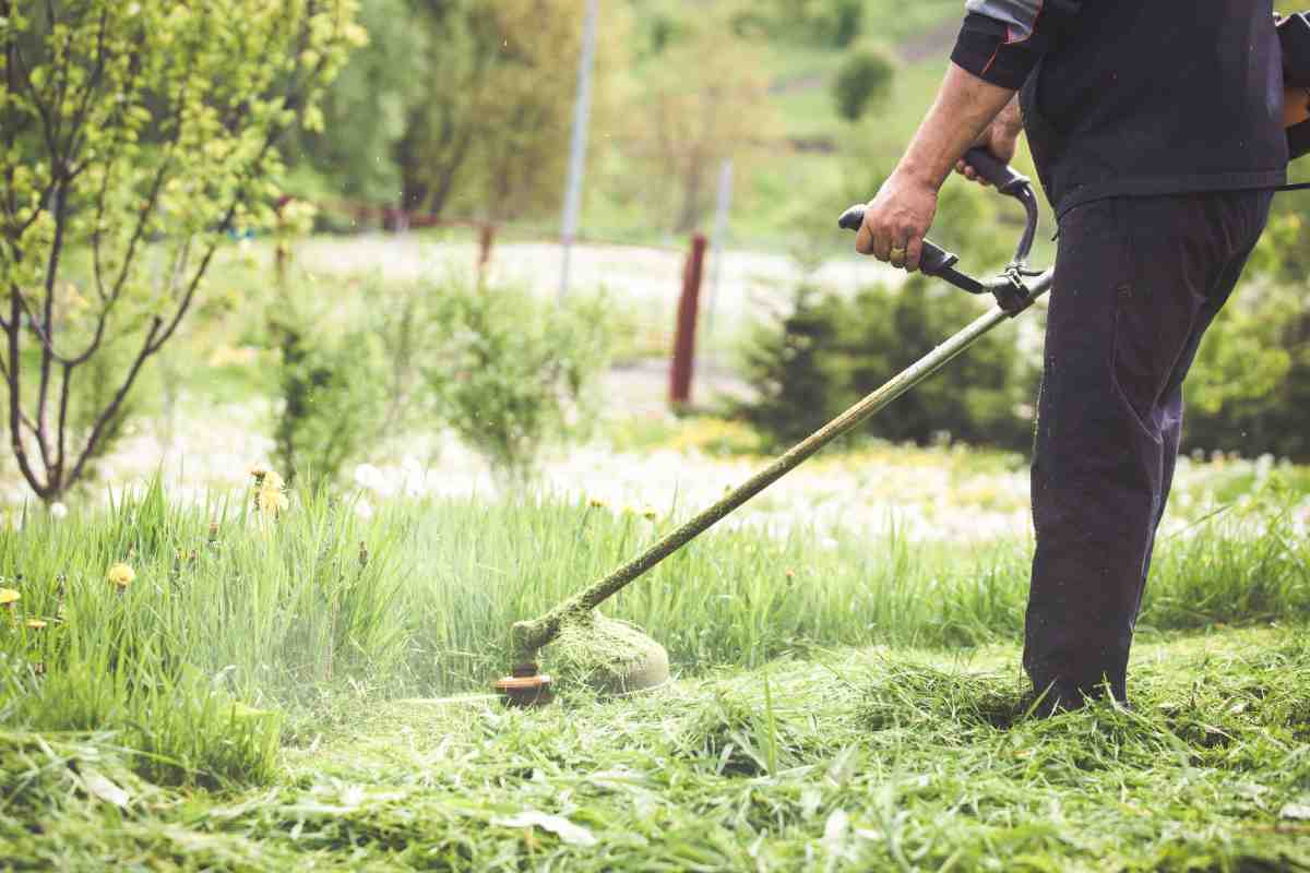 Methods for ridding the garden of weeds in autumn