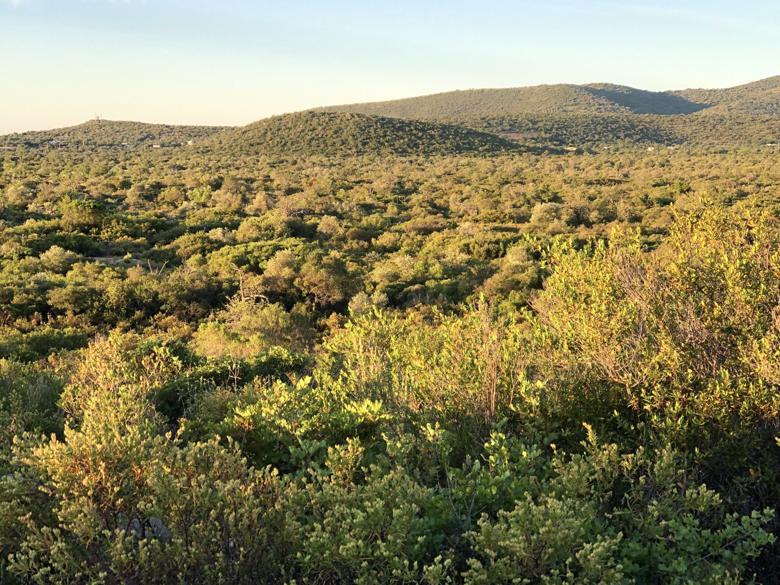 PROBAAL – Pro Barrocal Algarvio wins National Environmental Award “Fernando Pereira“ 2024