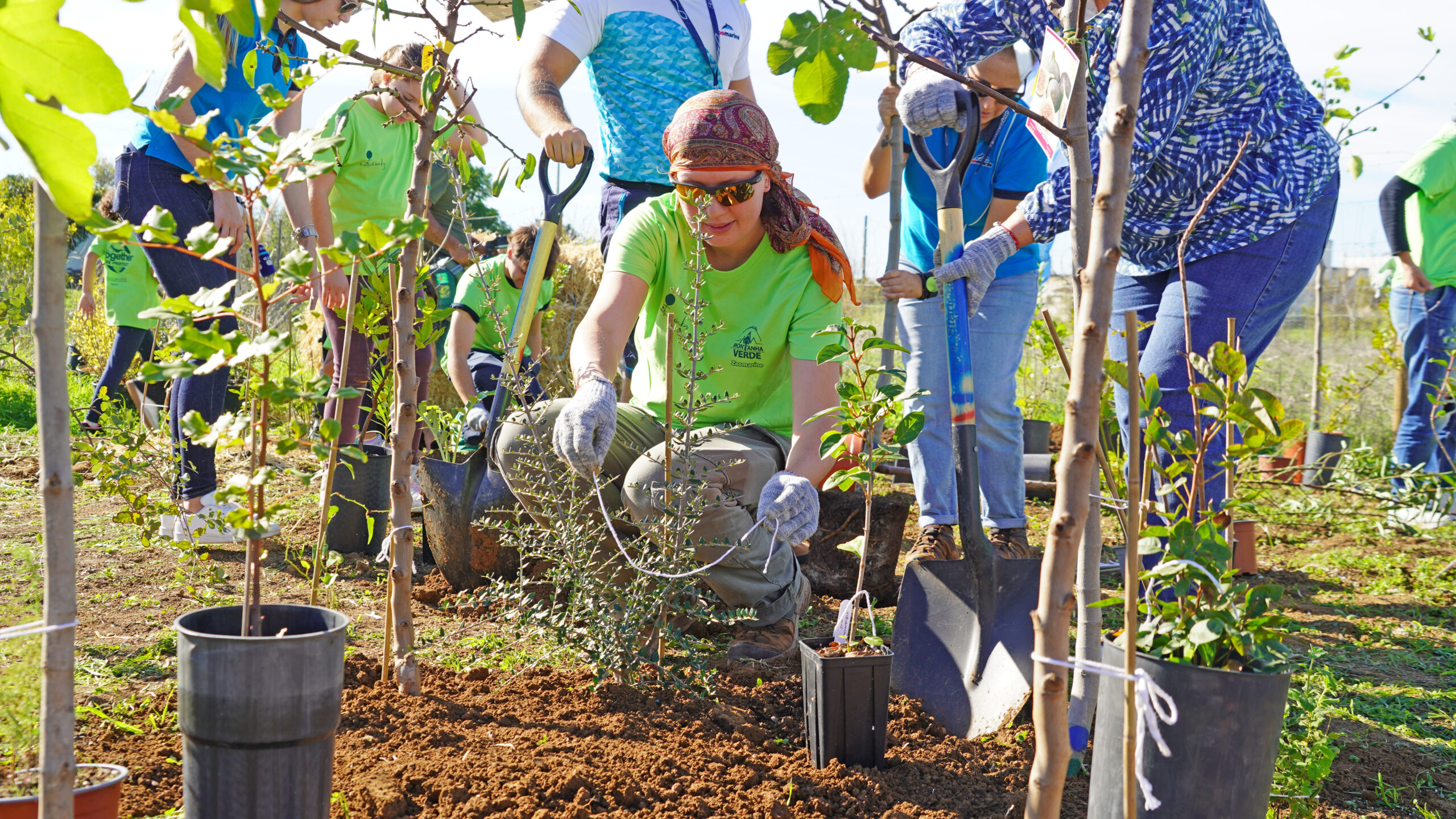 Zoomarine and Nativawaky plant Miyawaki forest to promote the regeneration of the Algarve