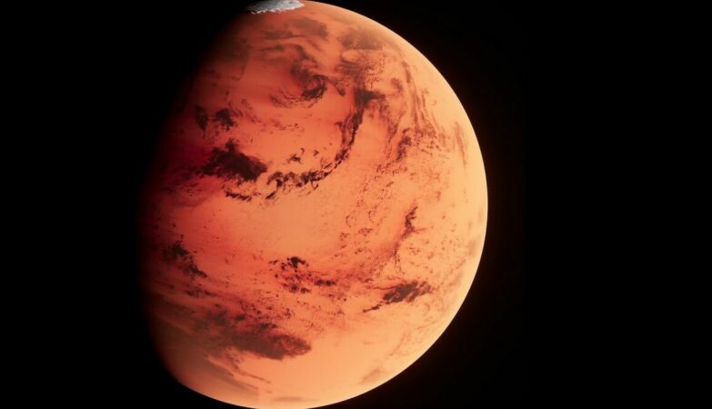 NASA may have accidentally killed life on Mars