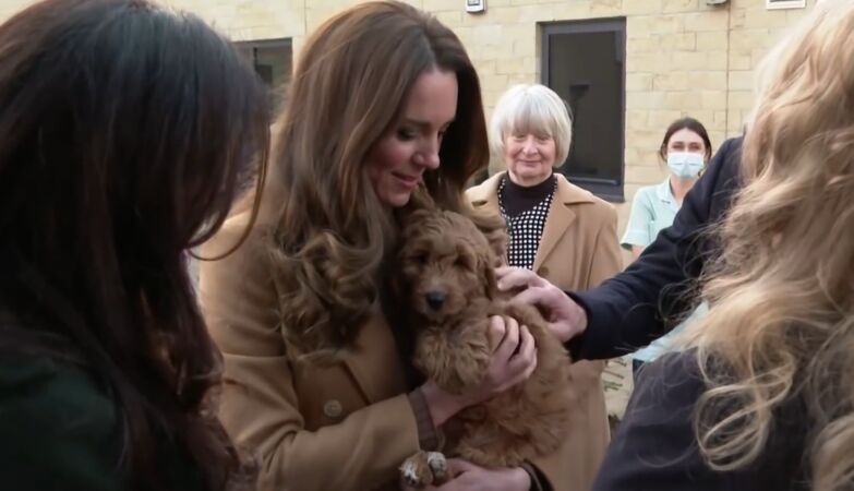 Like dog, like owner: our animals are really (physically and psychologically) the same as us