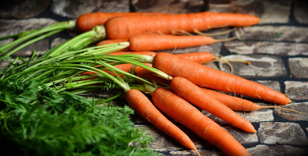 Plant carrots using this method and they will grow very quickly