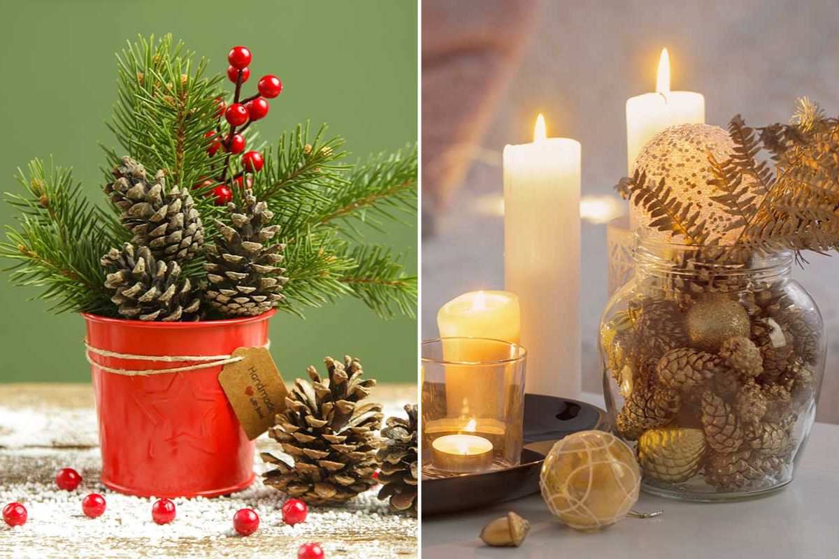 create original combinations with pine cones and vases