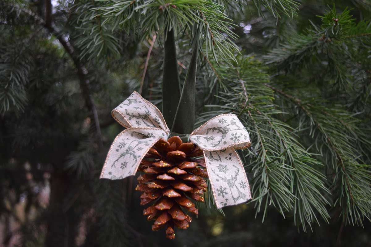 decorate the Christmas tree with pine cones