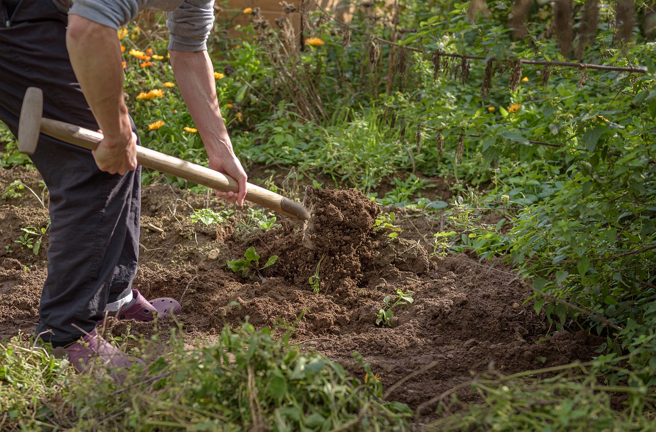 An absolute weed killer in the garden: this product has killed even the most resistant weeds