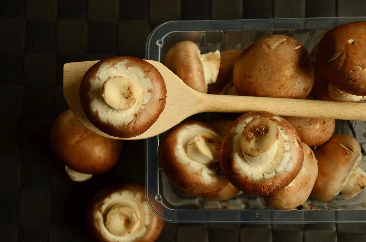 Here are some foods you should not eat with mushrooms