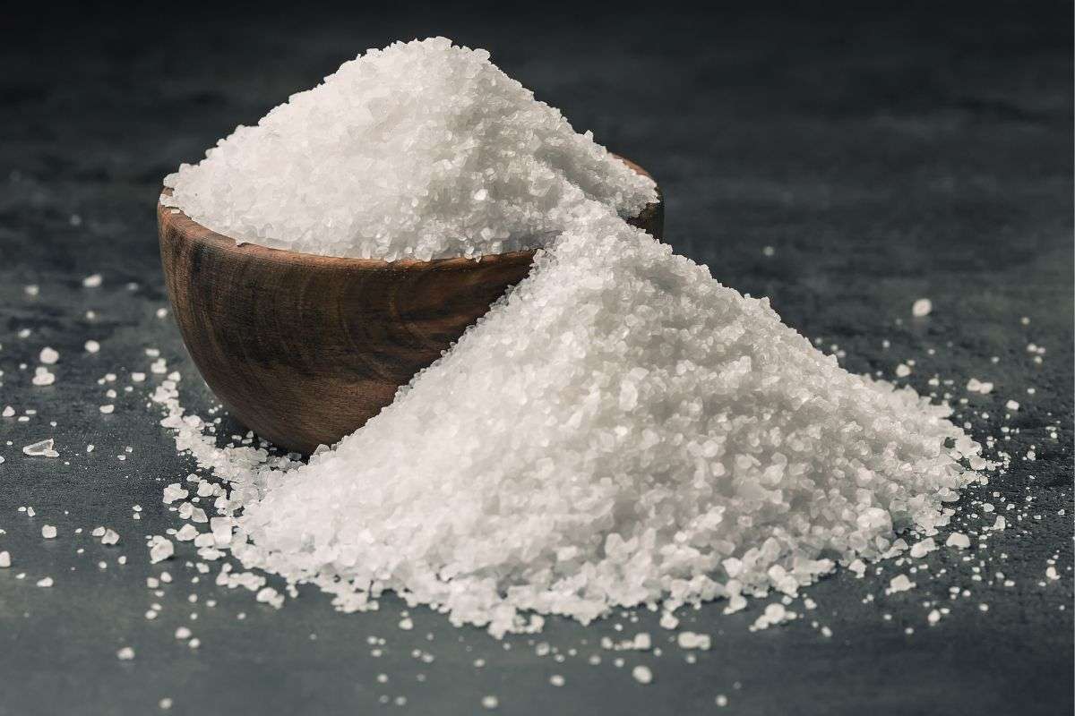 how to use coarse salt as a dehumidifier