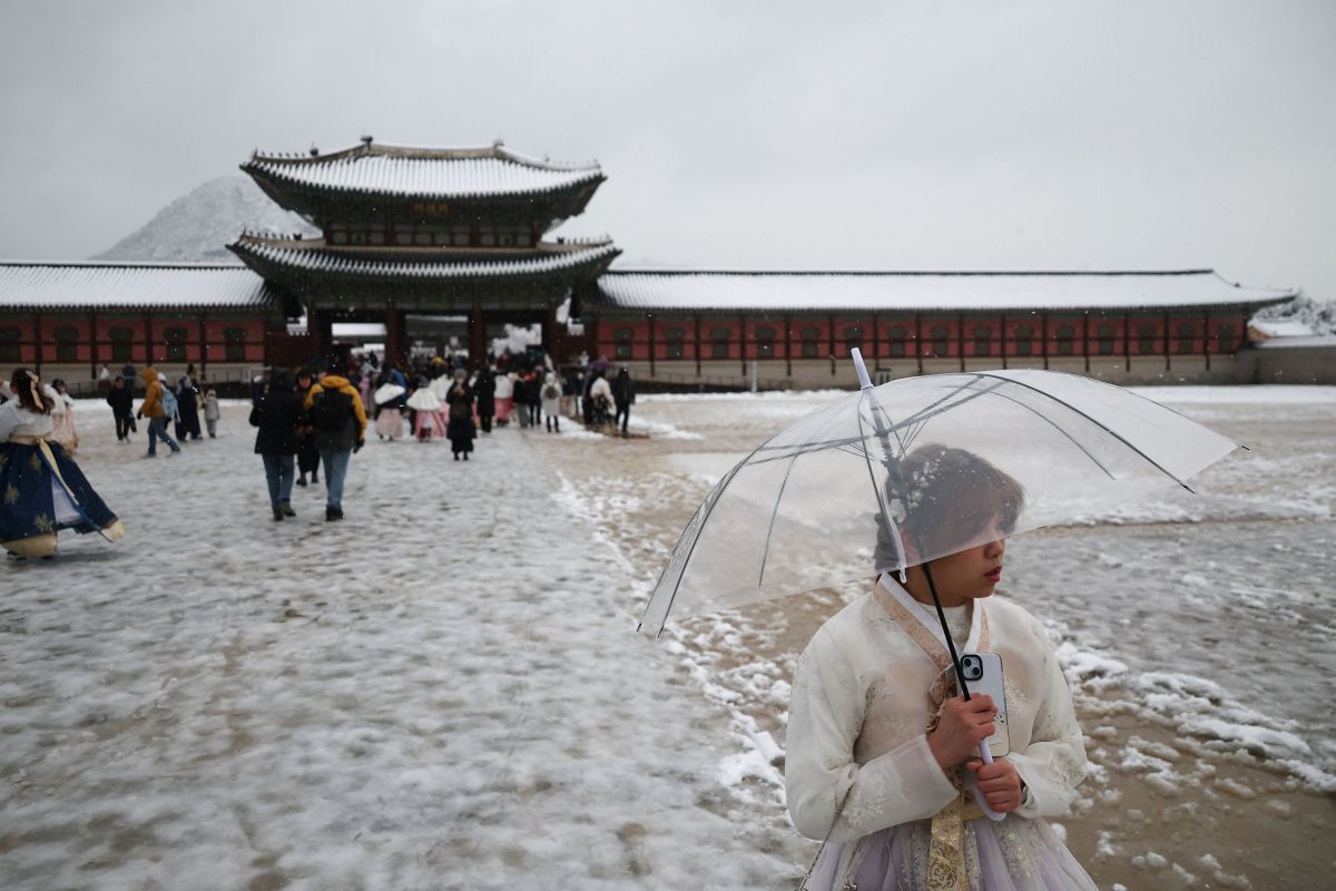 Record snow in Seoul with 16.5 cm - Roads closed, power outages