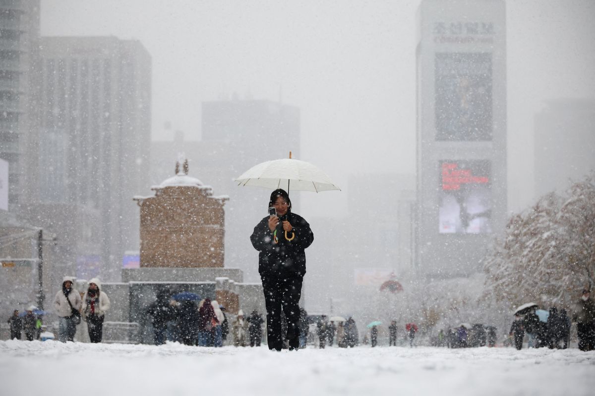 Record snow in Seoul with 16.5 cm - Roads closed, power outages