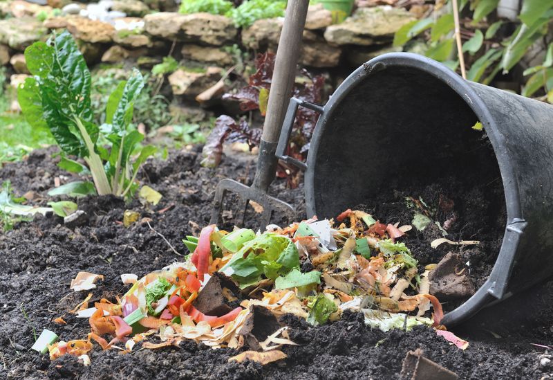 What not to put in the composter? photo: Freepik