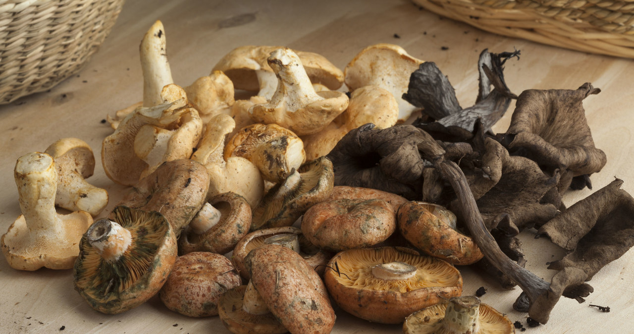 Instead of tap water, use water from cooking mushrooms for bigos /123RF/PICSEL