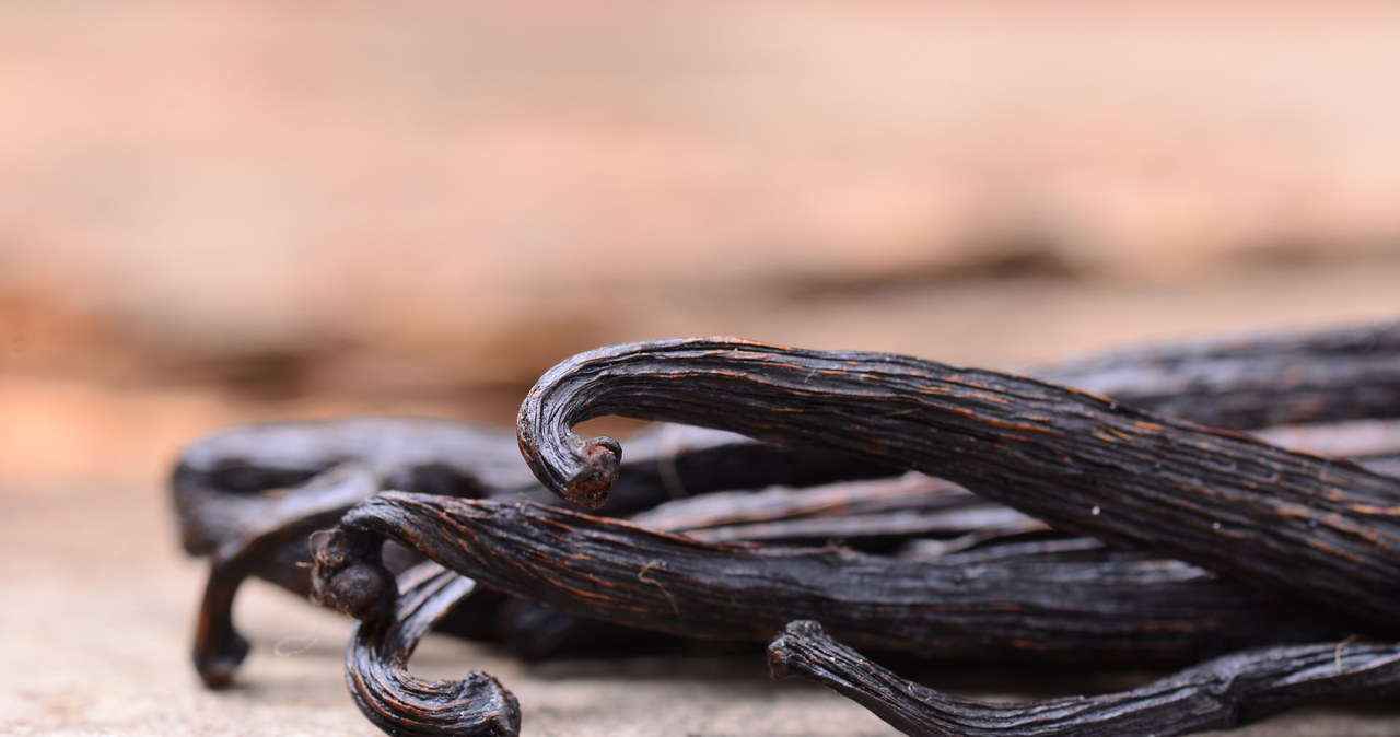 You can make your own sugar from vanilla pods. /123RF/PICSEL