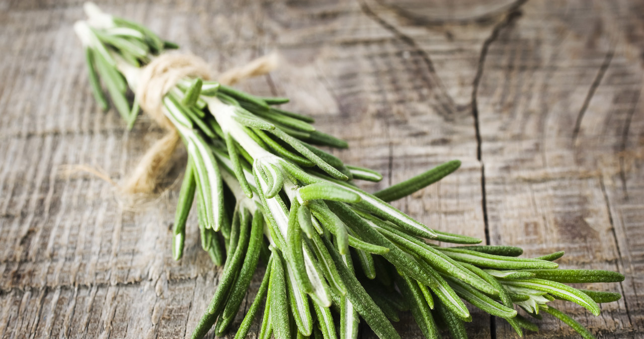 Rosemary is a versatile plant. It affects the hair and scalp on many levels. /123RF/PICSEL