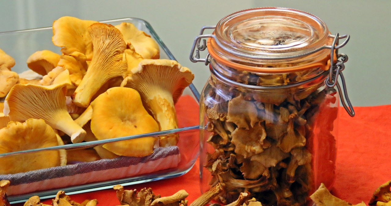 Dried mushrooms should be kept in a tight container /123RF/PICSEL
