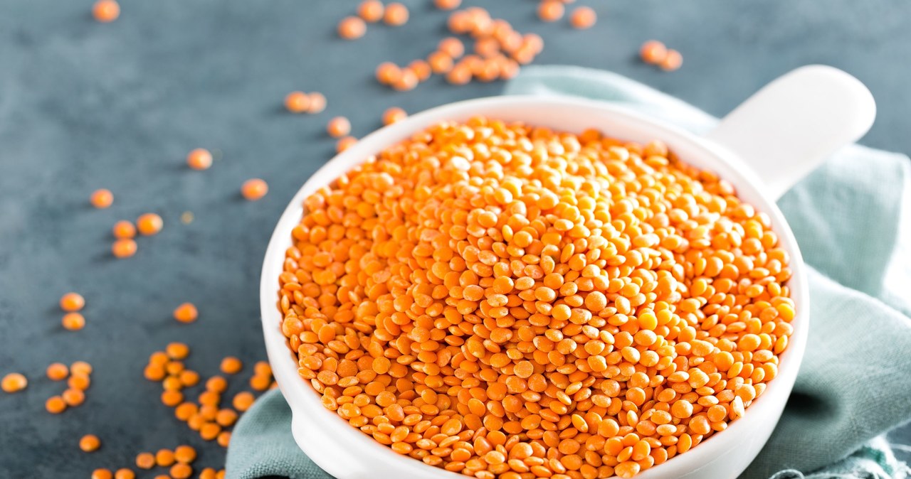 Red lentils are a healthy alternative to meat dishes. It's worth making dumplings with it. /123RF/PICSEL
