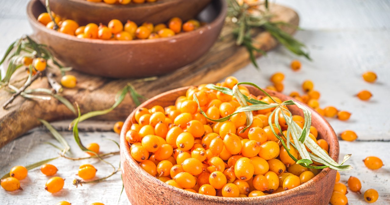 Sea buckthorn berries are rich in vitamin C. Their decoction is useful for colds and more. /123RF/PICSEL