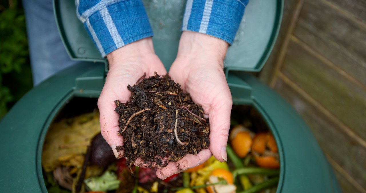 A home composter is a way to save money /123RF/PICSEL