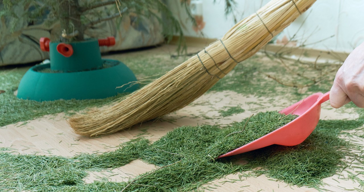 Is the Christmas tree falling apart? Instead of throwing away the needles, put them in a jar and you will save a lot