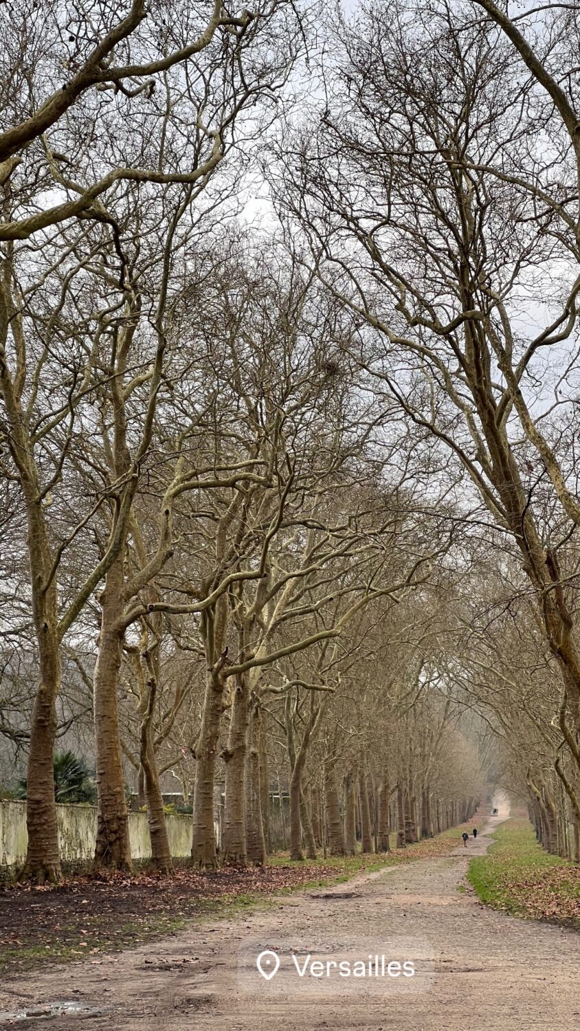 “It’s going to be beautiful.” Cristina Ferreira reveals travel destination with her son and grandparents