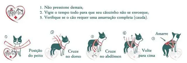 Discover the technique that protects dogs from the noise of fireworks