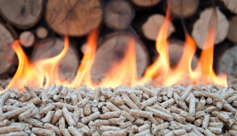 Daughter of Equatorial Guinea dictator associated with pellet fraud scheme in Guarda