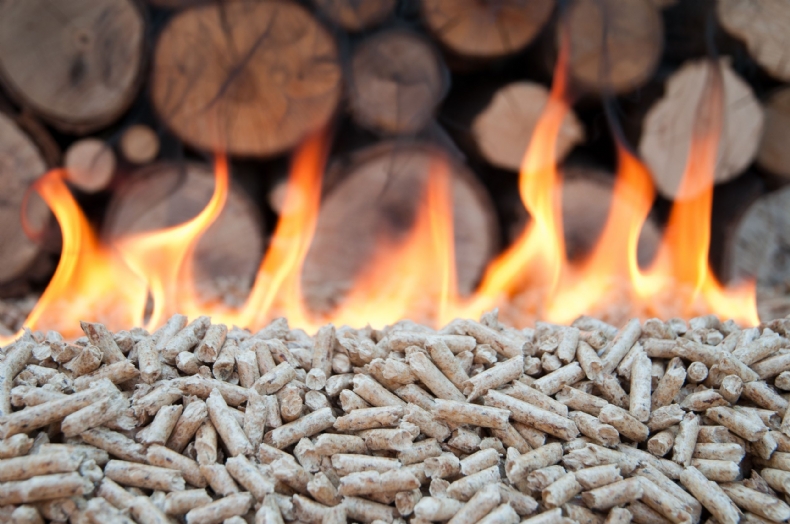 Daughter of Equatorial Guinea dictator associated with pellet fraud scheme in Guarda