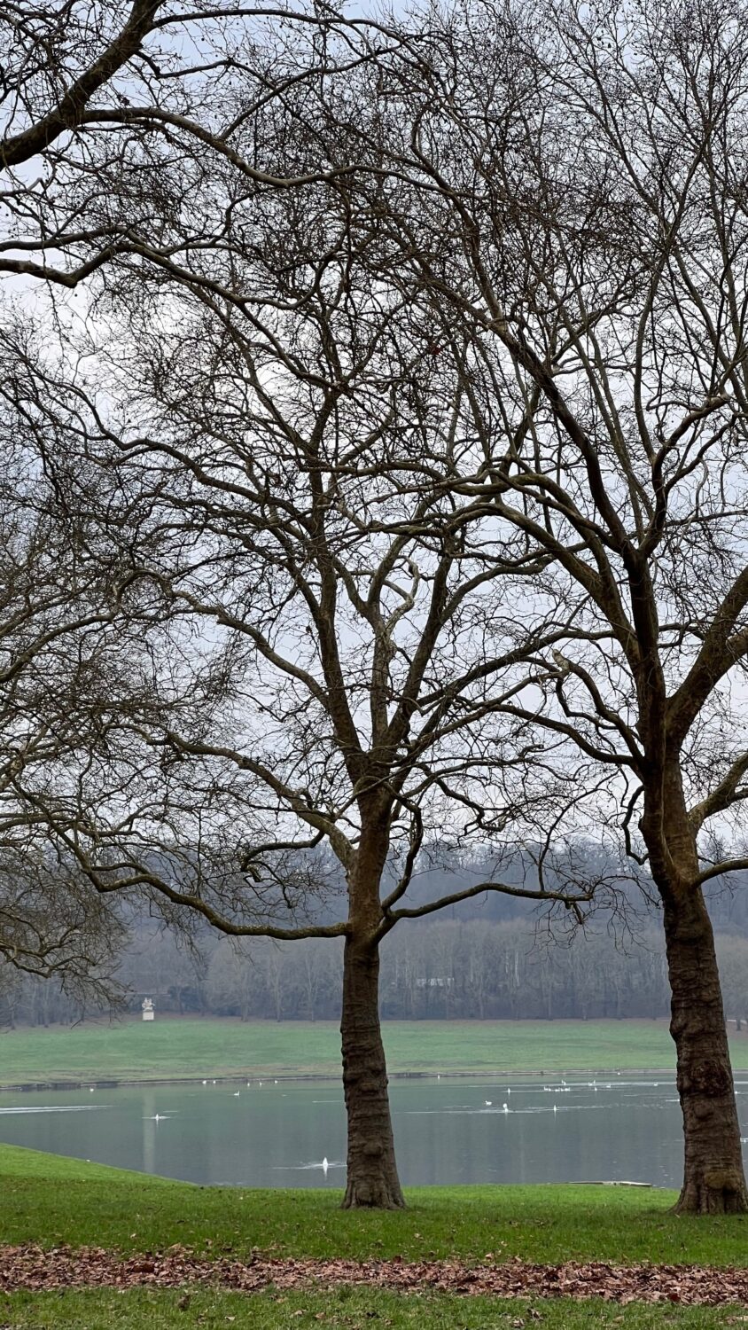 “It’s going to be beautiful.” Cristina Ferreira reveals travel destination with her son and grandparents