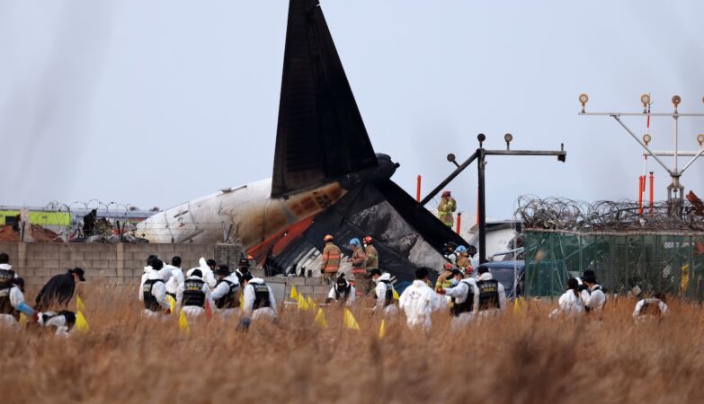 Air disaster in South Korea: pilot warned of bird attack