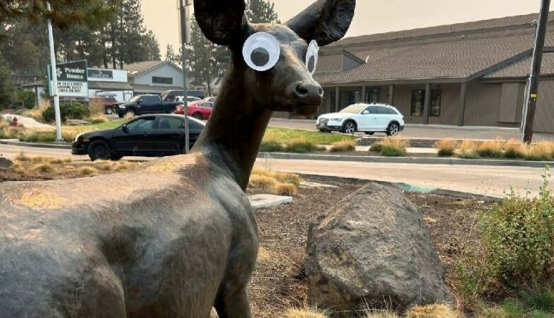 “Stop gluing googly eyes to statues.” The caricatured request of a city in the USA