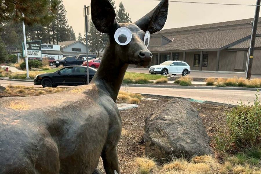 “Stop gluing googly eyes to statues.” The caricatured request of a city in the USA