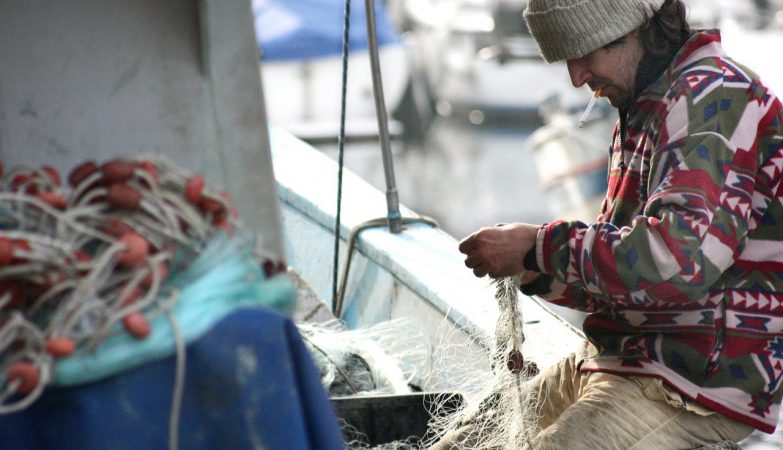 We will be able to fish more, but the price of fish remains in cod waters (and mackerel is out of the race)