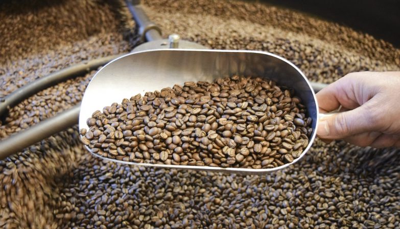 Coffee is so expensive that it triggers theft. Dogs and bees defend grains
