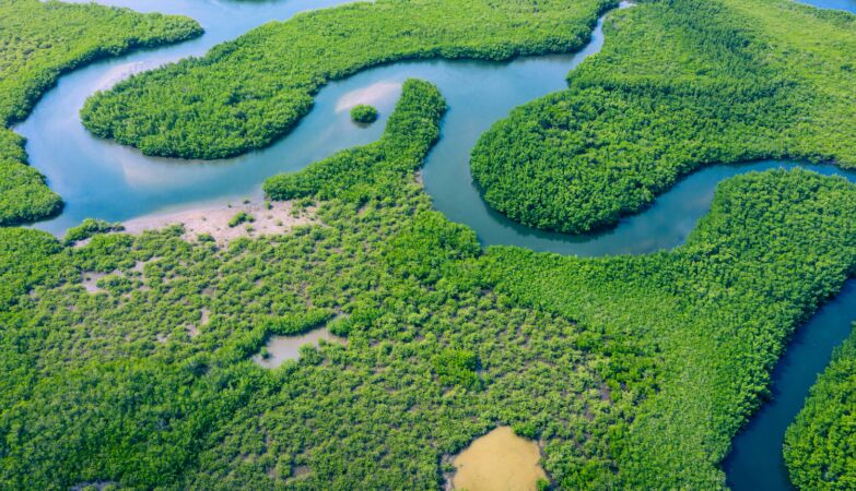 Why doesn't the Amazon River have bridges?