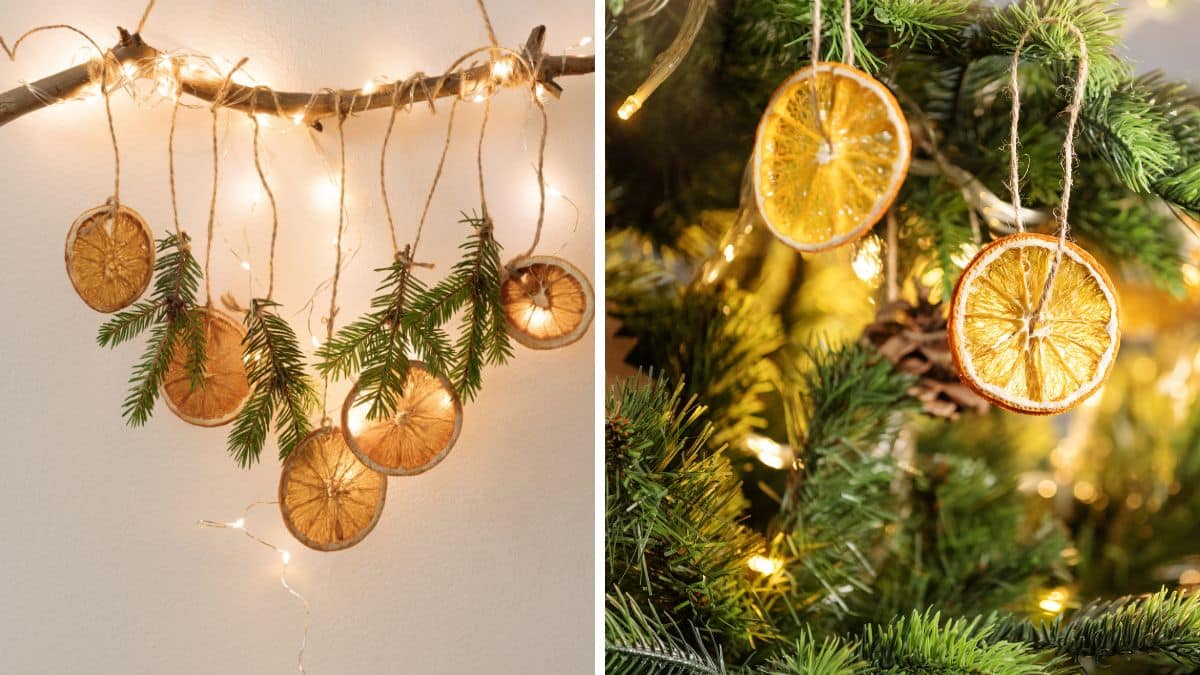 eco-chic Christmas decorations with oranges