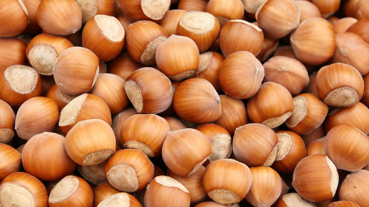 What to use hazelnut peels