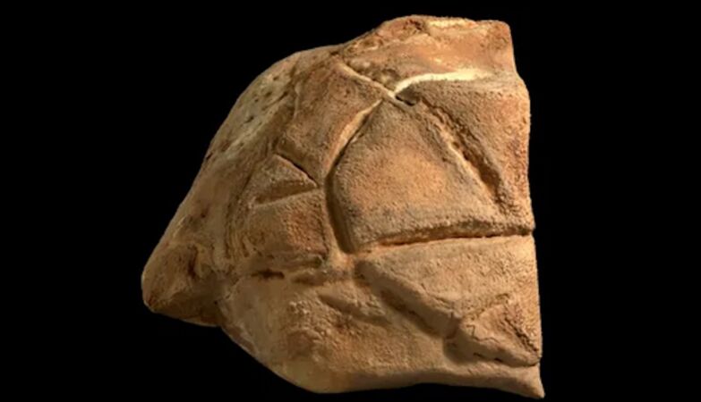 Ancient Holy Land ritual revealed thanks to a turtle