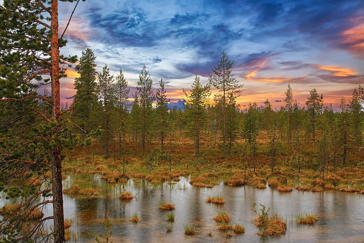 After all, the bridge that connected the USA to Siberia was not what we thought