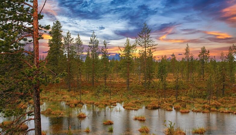 After all, the bridge that connected the USA to Siberia was not what we thought