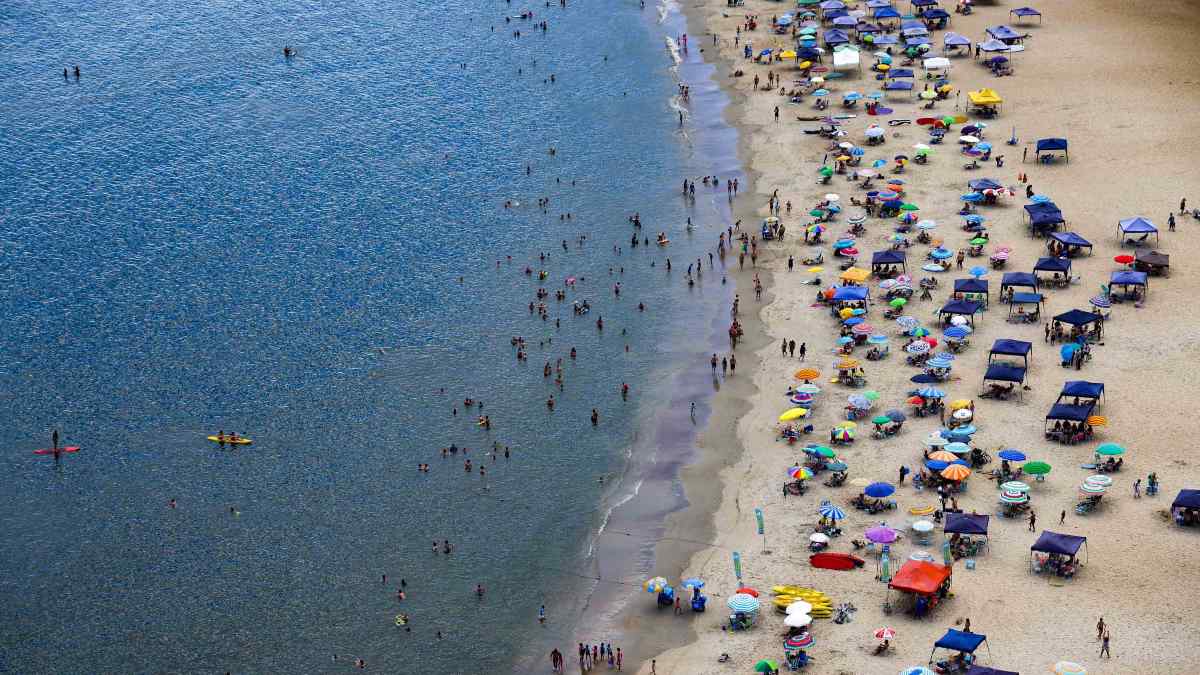 Incidents with jellyfish exceed 2 thousand in Paraná in just one weekend