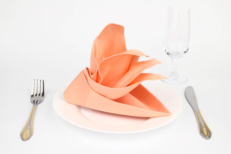 Fold napkins elegantly to decorate the table during a dinner.
