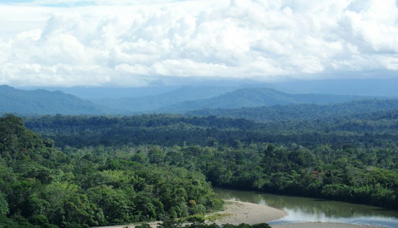 A mysterious island in the Amazon helps uncover Earth's magnetic field